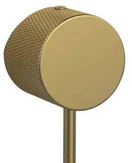 SAPHO SOLARIS ovládací páka, zlato mat WD042G-1