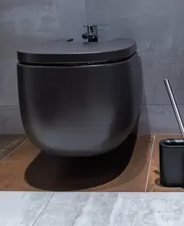 AWD Interior WC štětka (na wc rimless), kov, plast KD02021769