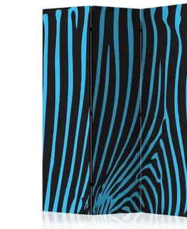 Paraván Zebra pattern (turquoise) Dekorhome