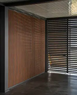 WPC stěna k přístřešku PRESTIGE Rojaplast