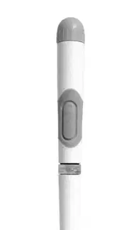 PROHOME - WC kartáč sada
