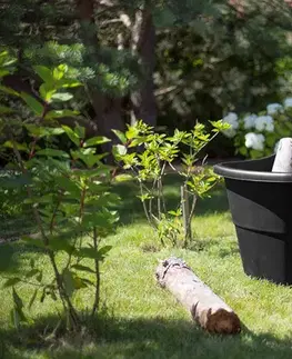 KETER Vozík CASUAL BREEZE 50 L | černá