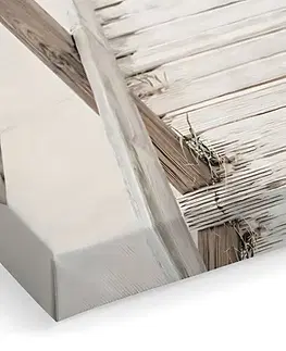 Dekorativní obraz na plátně Artcanvas106
