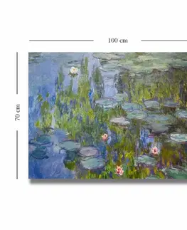 Dekorativní obraz na plátně 70100MONET016