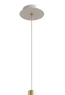 Bílo-zlatá LED závěsná lampa Modena Ledea 5W