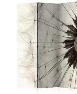Paraván White Dandelion Dekorhome
