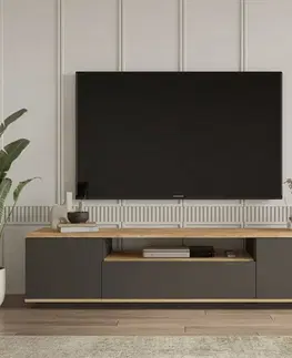 Televizní stolek Fran Atlantic Pine and Anthracite