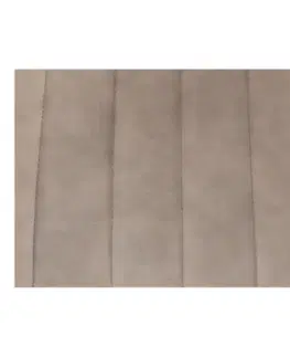 Jídelní židle HAZAL Tempo Kondela