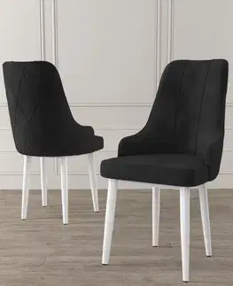 Sada židlí (6 kusů) Trex - Black, White