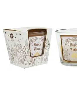 Arome Vonná svíčka ve skle Vanilla, 120 g
