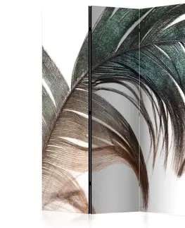 Paraván Beautiful Feather Dekorhome