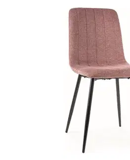 Jídelní židle ALAN BREGO Signal
