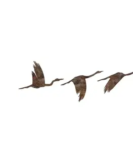 Dekorativní kovový doplněk na zeď Rusty Birds 1