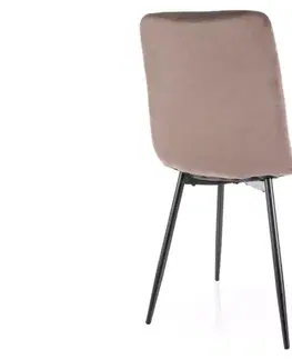 Židle Daren Velvet