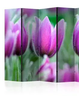 Paraván Purple spring tulips Dekorhome