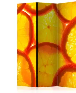 Paraván Orange slices Dekorhome
