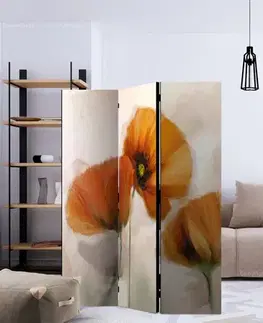 Paraván poppies - vintage Dekorhome