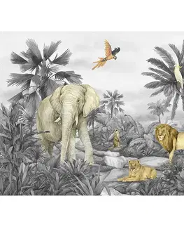 Dětská fototapeta Jungle 252 x 182 cm, 4 díly