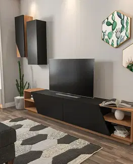 Televizní stolek se skříňkou Zebra Black and Teak