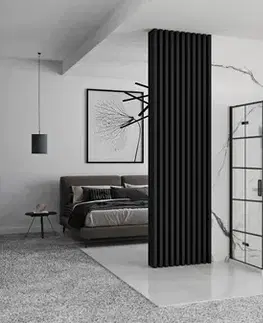 REA/S Sprchová kabina Molier Black Double 80x90 KPL-K1011