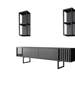 Televizní stolek s policemi Chrome Anthracite and Black