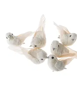 Sada ptáčků s klipem, 8,5 cm, 6 ks