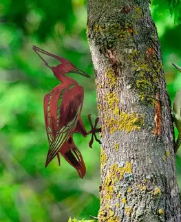 Zahradní dekorace Bird on the branch 30