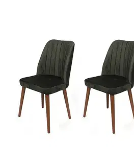 Sada jídelních židlí Alfa Khaki and Walnut, 2 ks
