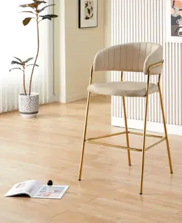 Barová židle DASMIN TYP 2 Tempo Kondela
