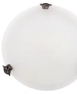 Stropní nástěnná lampa sklo 60W E27 40cm Eva