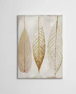 Dekorativní obraz na plátně WY81 (50 x 70)