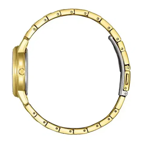 Citizen Eco-Drive Elegance Ladies FE1242-78D