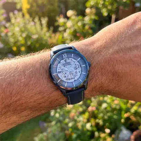 Festina Automatic 20795/1