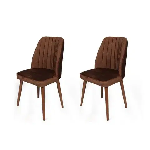 Sada jídelních židlí Alfa Brown and Walnut, 2 ks