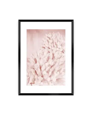 Plakát Pastel Pink II