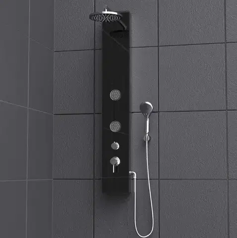 Eisl Skleněný sprchový panel, antracit 60033 60033