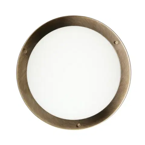 Stropní lampa Aquila Stropní lampa E27 Patina IP44