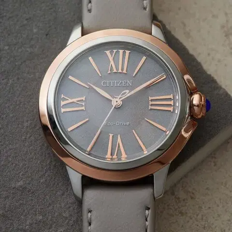 Citizen L Eco-Drive EM1166-01Z