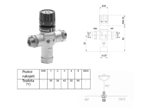 SAPHO Termostatický regulátor teploty vody, 1/2", 30-60 stupňů, zpětné klapky TMT12MPM