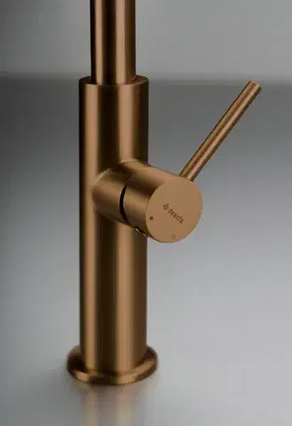 DEANTE Kuchyňská baterie Evora, broušený bronz BQJ_C62M