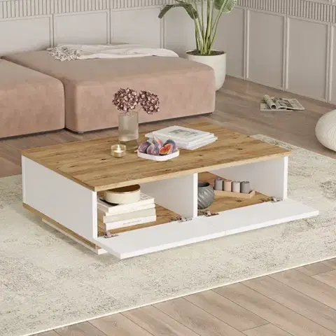 Living Room Furniture Set Fr17-Aw