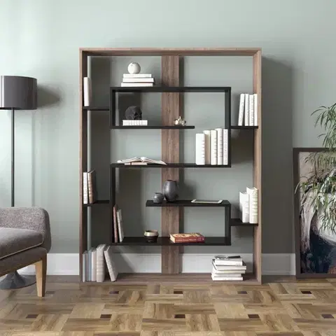 Knihovna Esteban - Walnut, Black