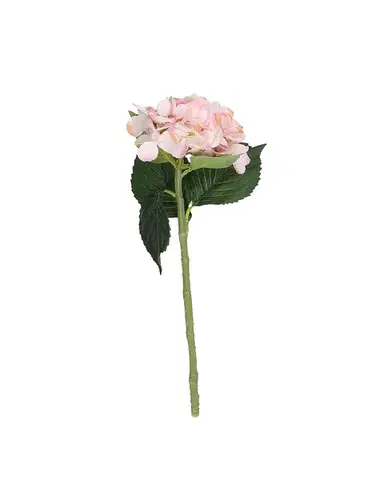 Větvička hortenzie 50 cm