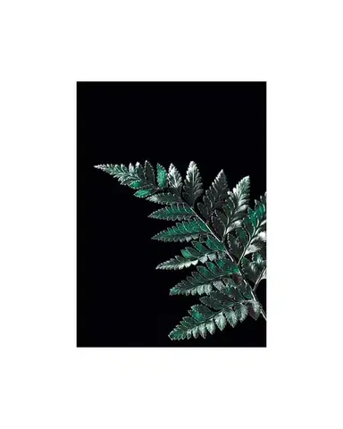 Plakát Dark Fern Leaf