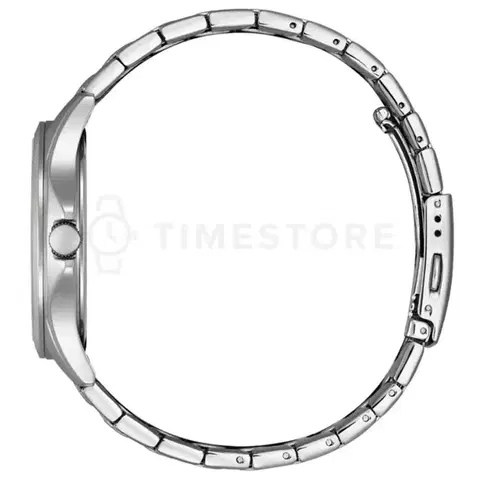 Citizen Quartz BF2021-82L