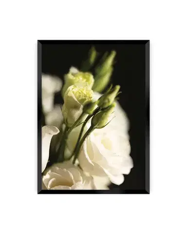 Plakát Dark Flowers I