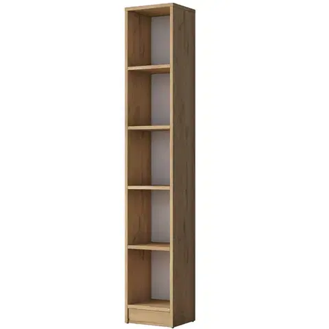 Knihovna Hale Walnut