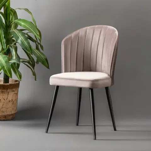 Sada židlí (2 kusy) Rubi - Cappuccino