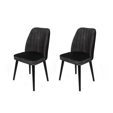 Sada jídelních židlí Alfa Anthracite and Black, 2 ks