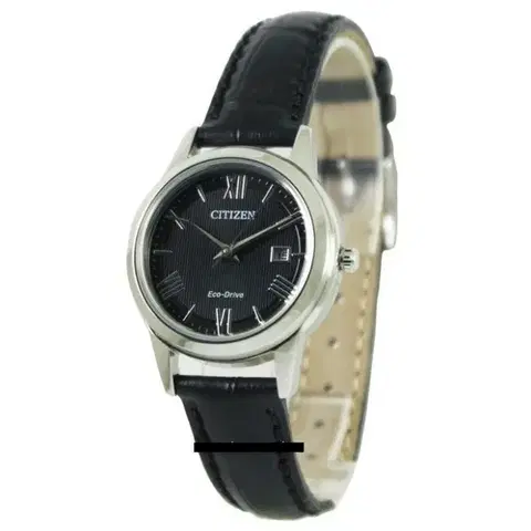 Citizen Eco-Drive FE1081-08E